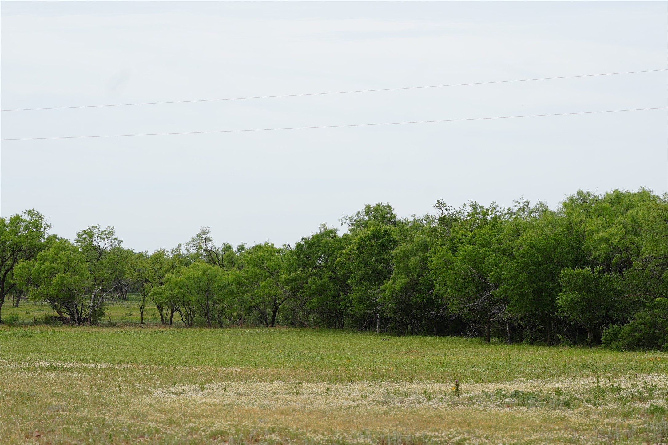 Tbd County Road 503 Abilene TX 79601