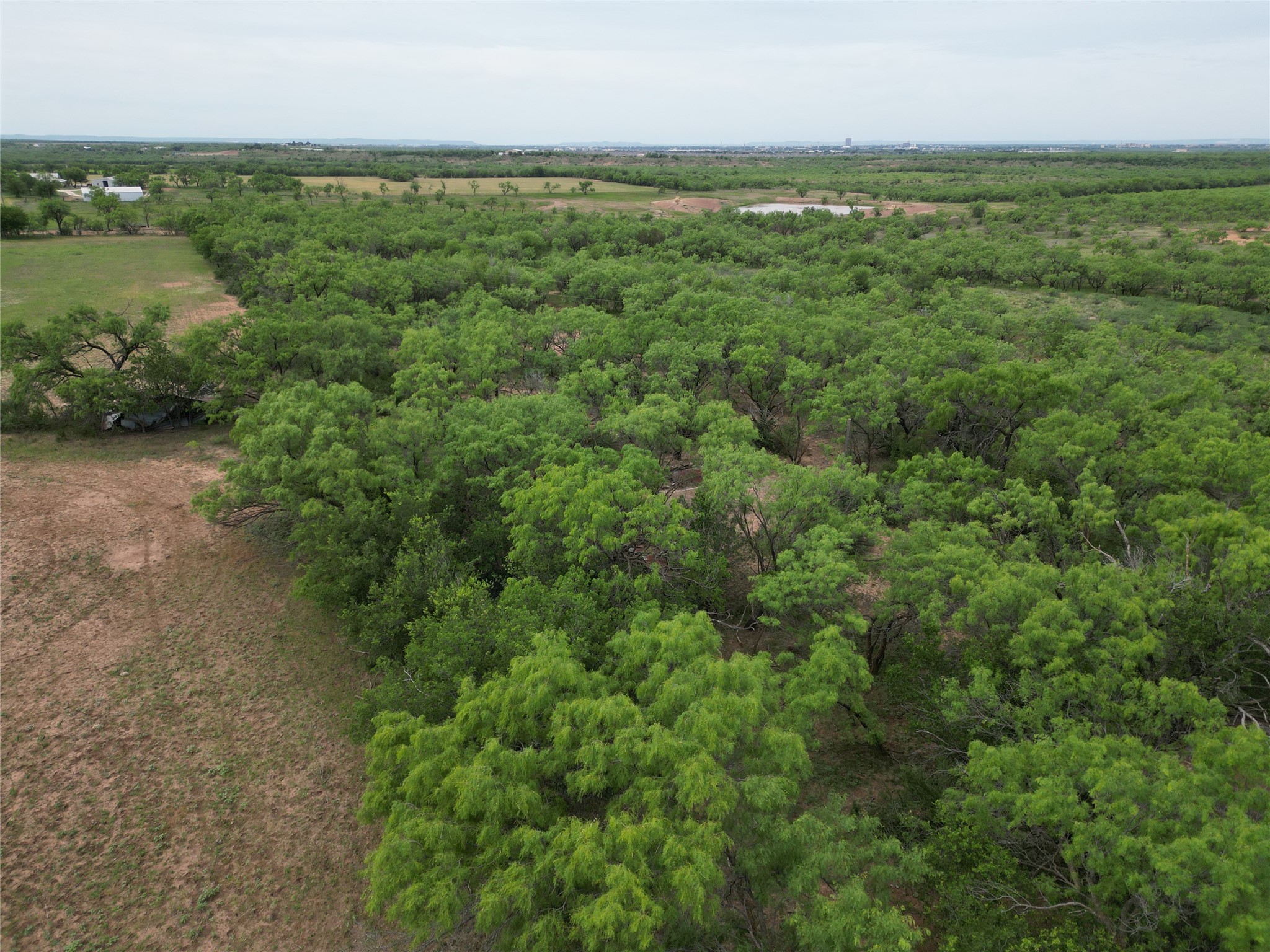 Tbd County Road 503 Abilene TX 79601