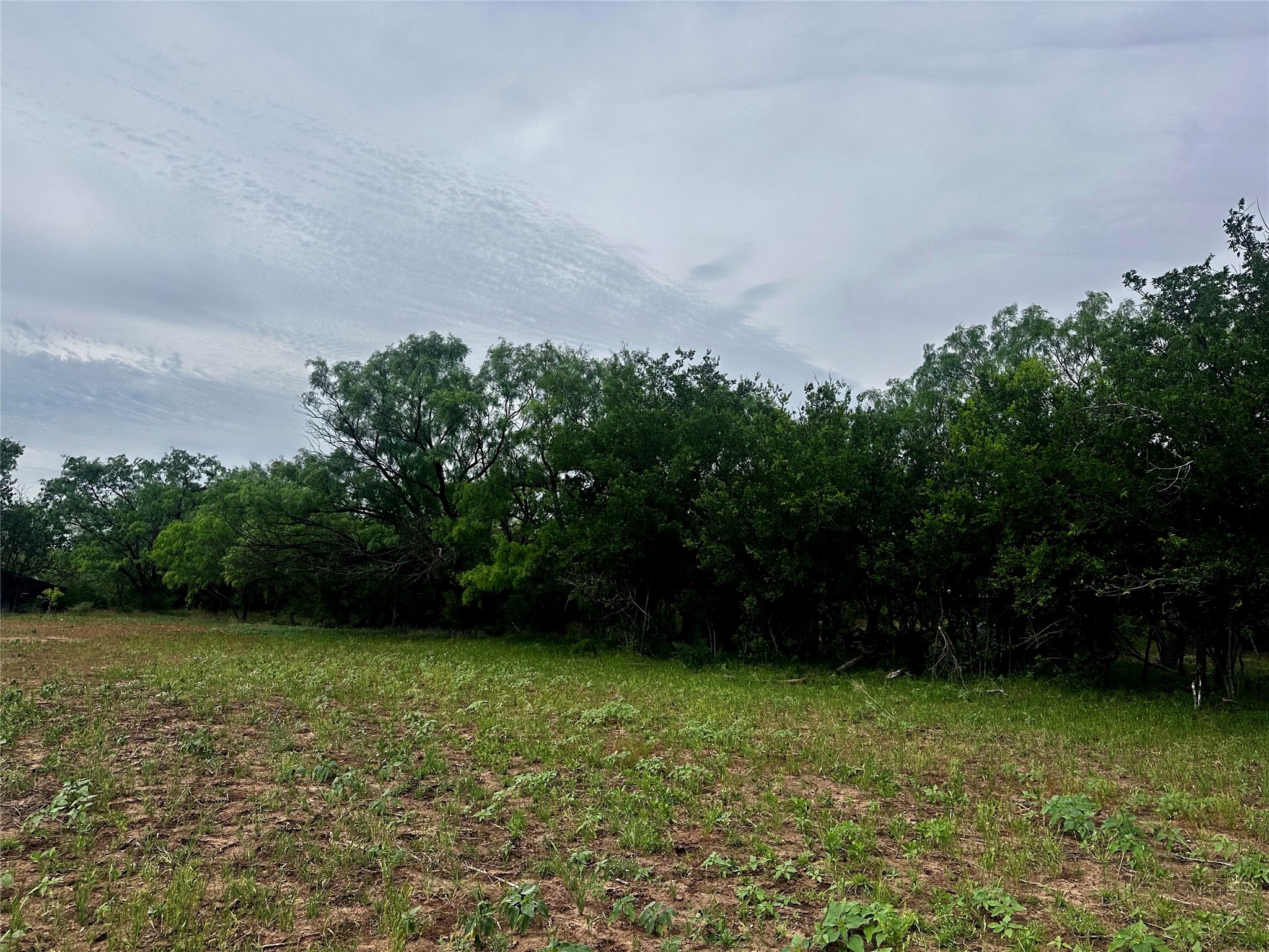 Tbd County Road 503 Abilene TX 79601