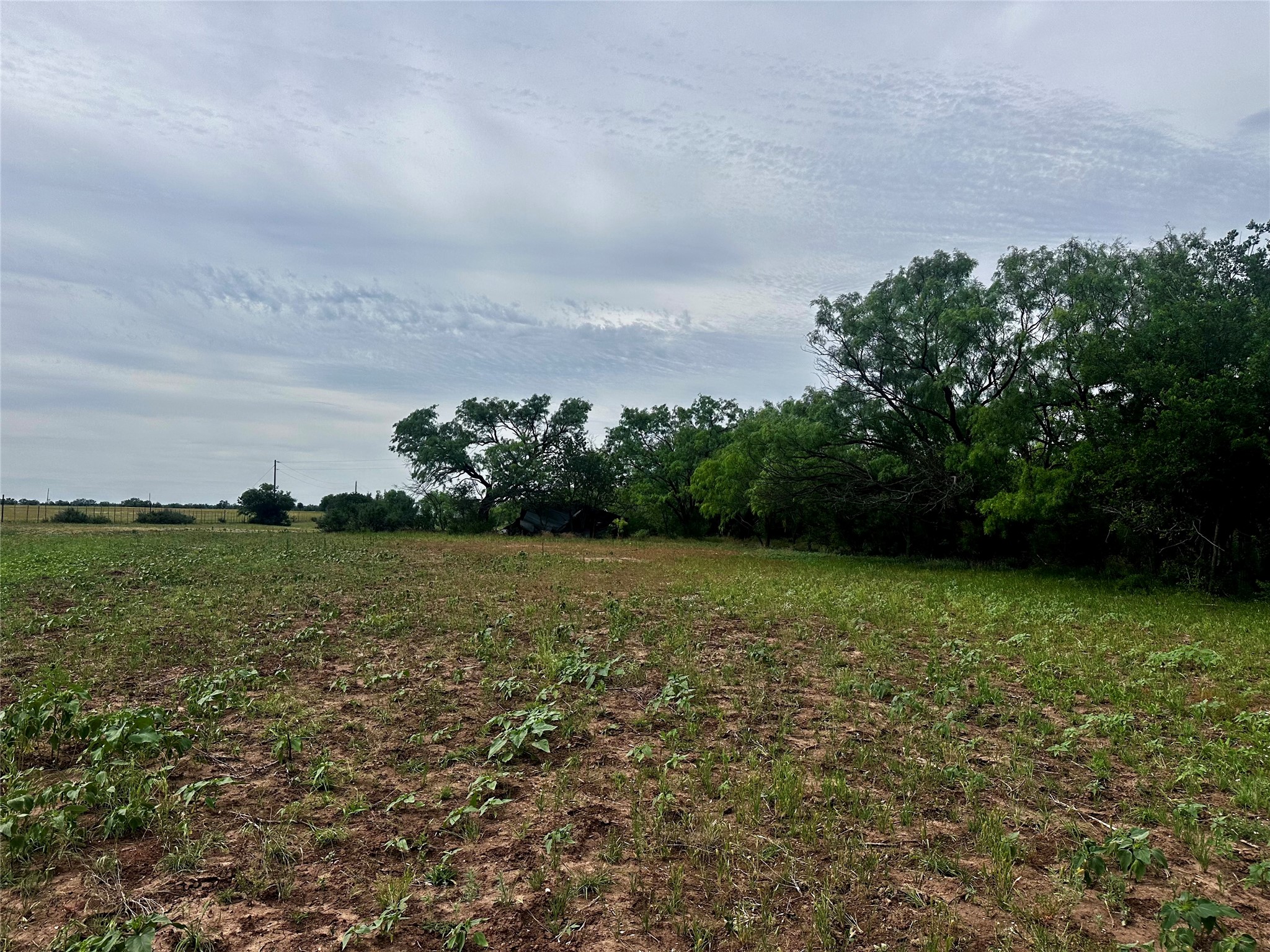 Tbd County Road 503 Abilene TX 79601