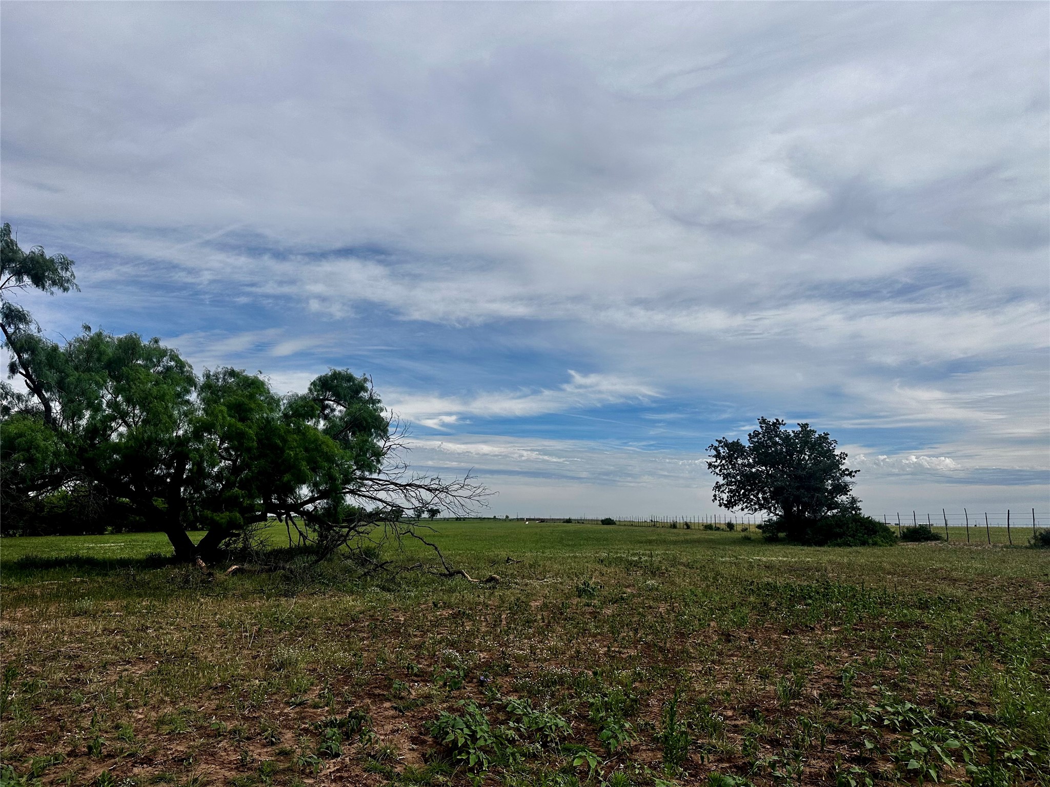 Tbd County Road 503 Abilene TX 79601