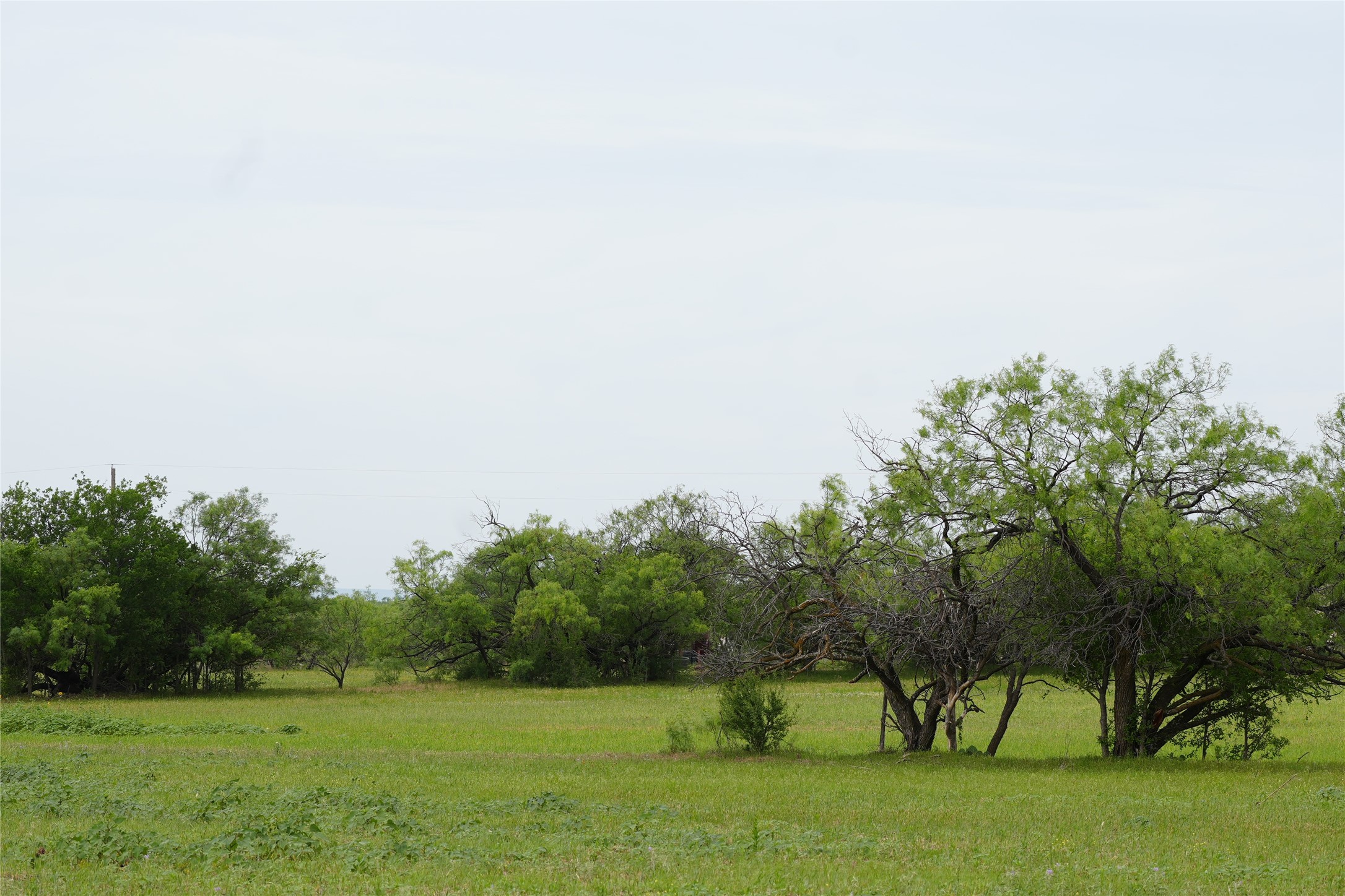 Tbd County Road 503 Abilene TX 79601