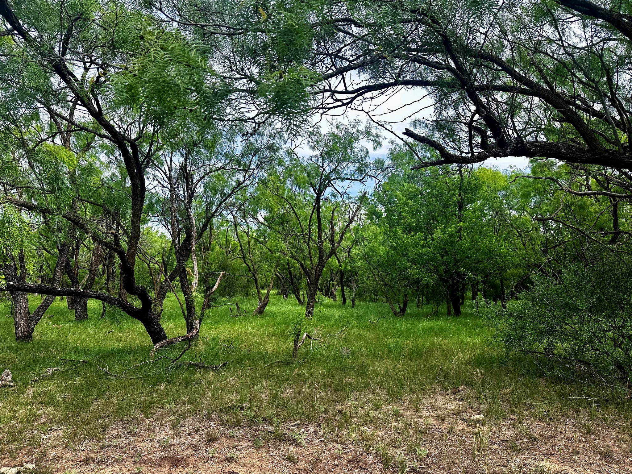Tbd County Road 503 Abilene TX 79601