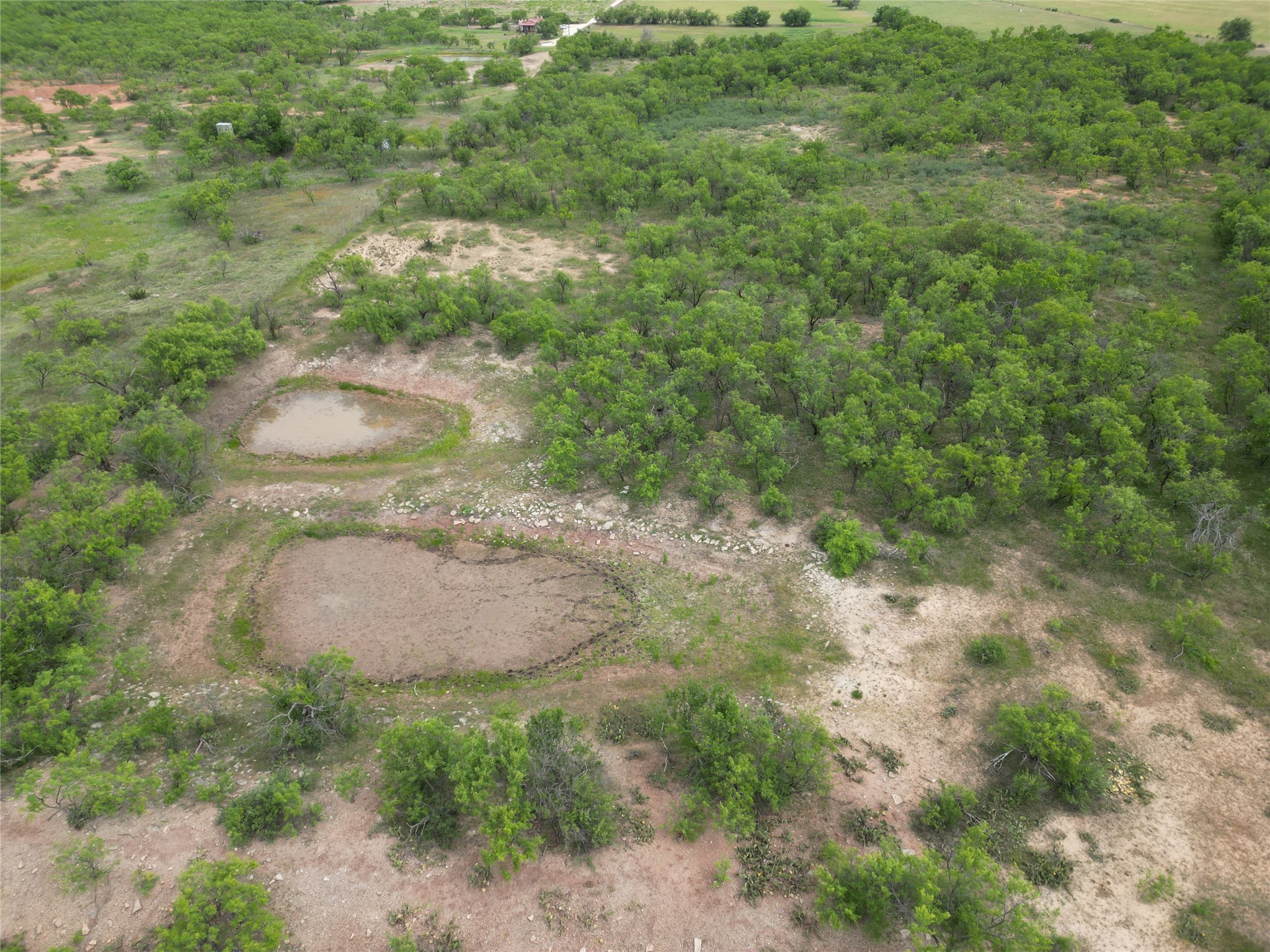Tbd County Road 503 Abilene TX 79601