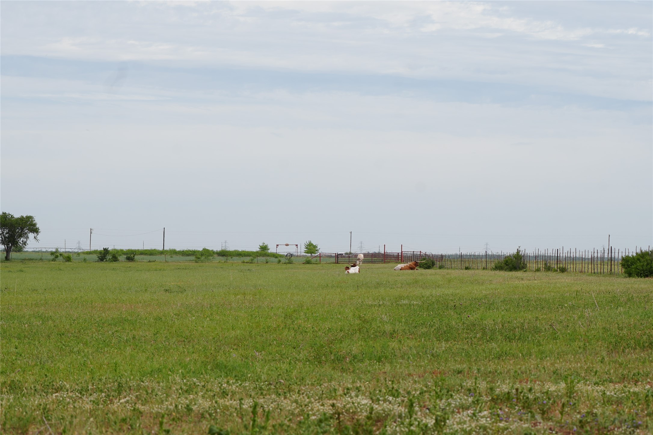 Tbd County Road 503 Abilene TX 79601