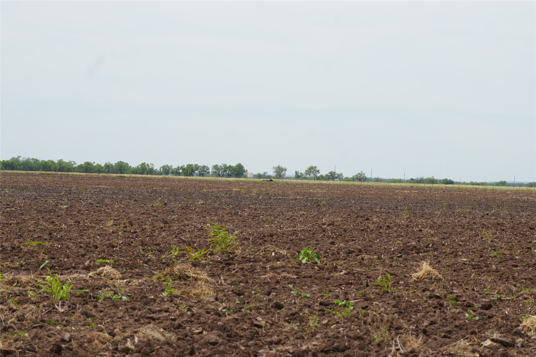 Tbd County Road 503 Abilene TX 79601