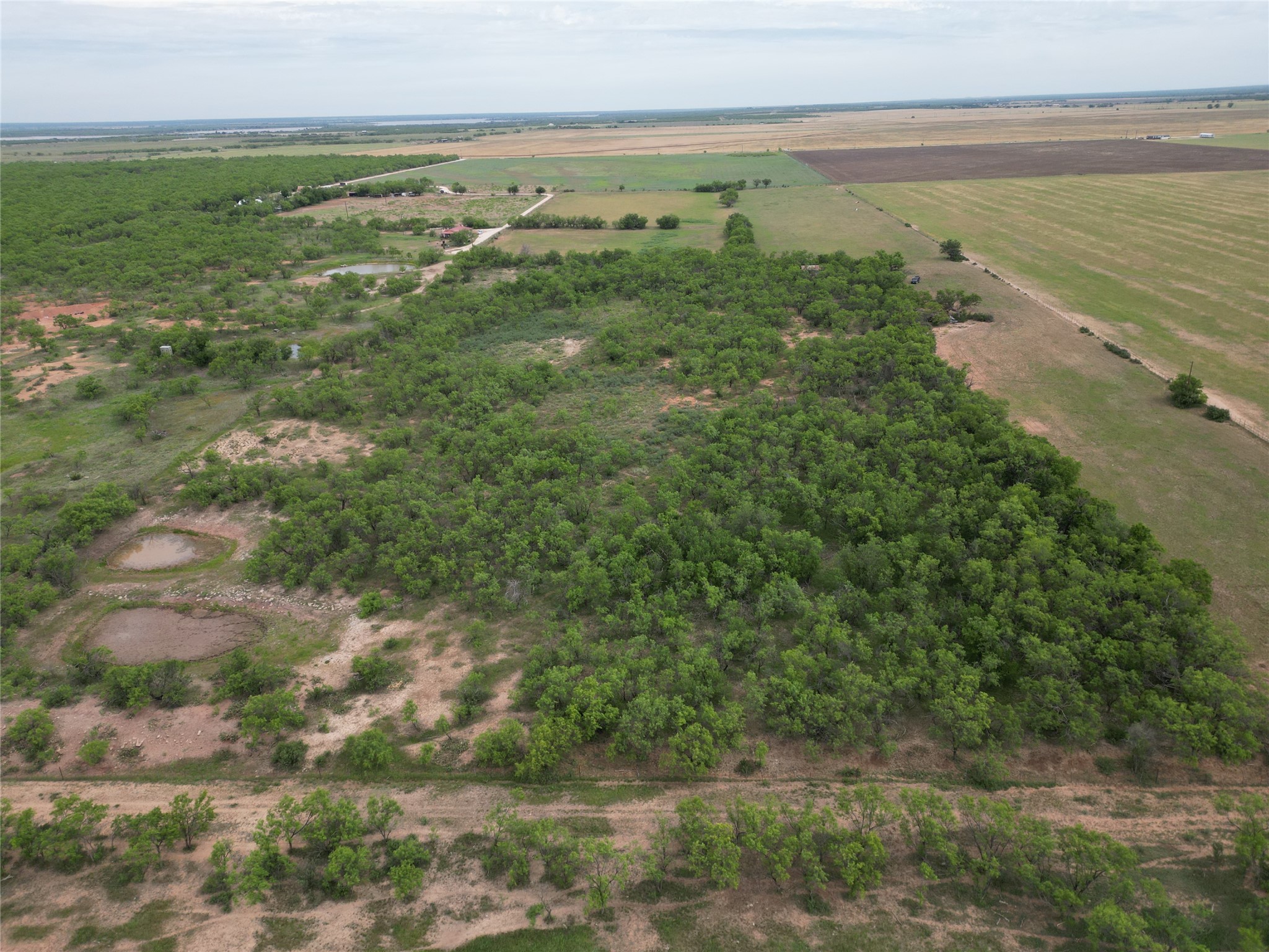 Tbd County Road 503 Abilene TX 79601