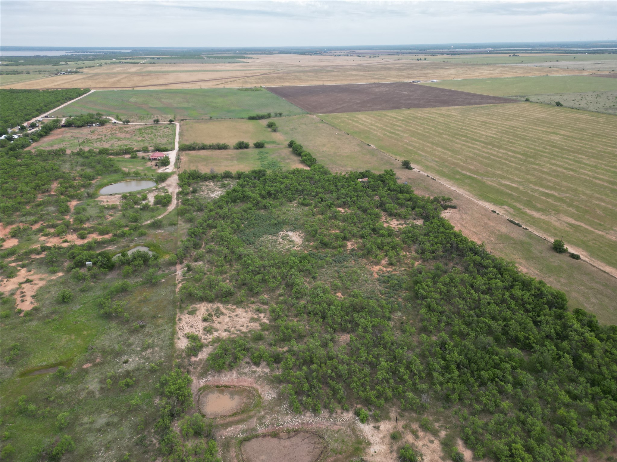 Tbd County Road 503 Abilene TX 79601