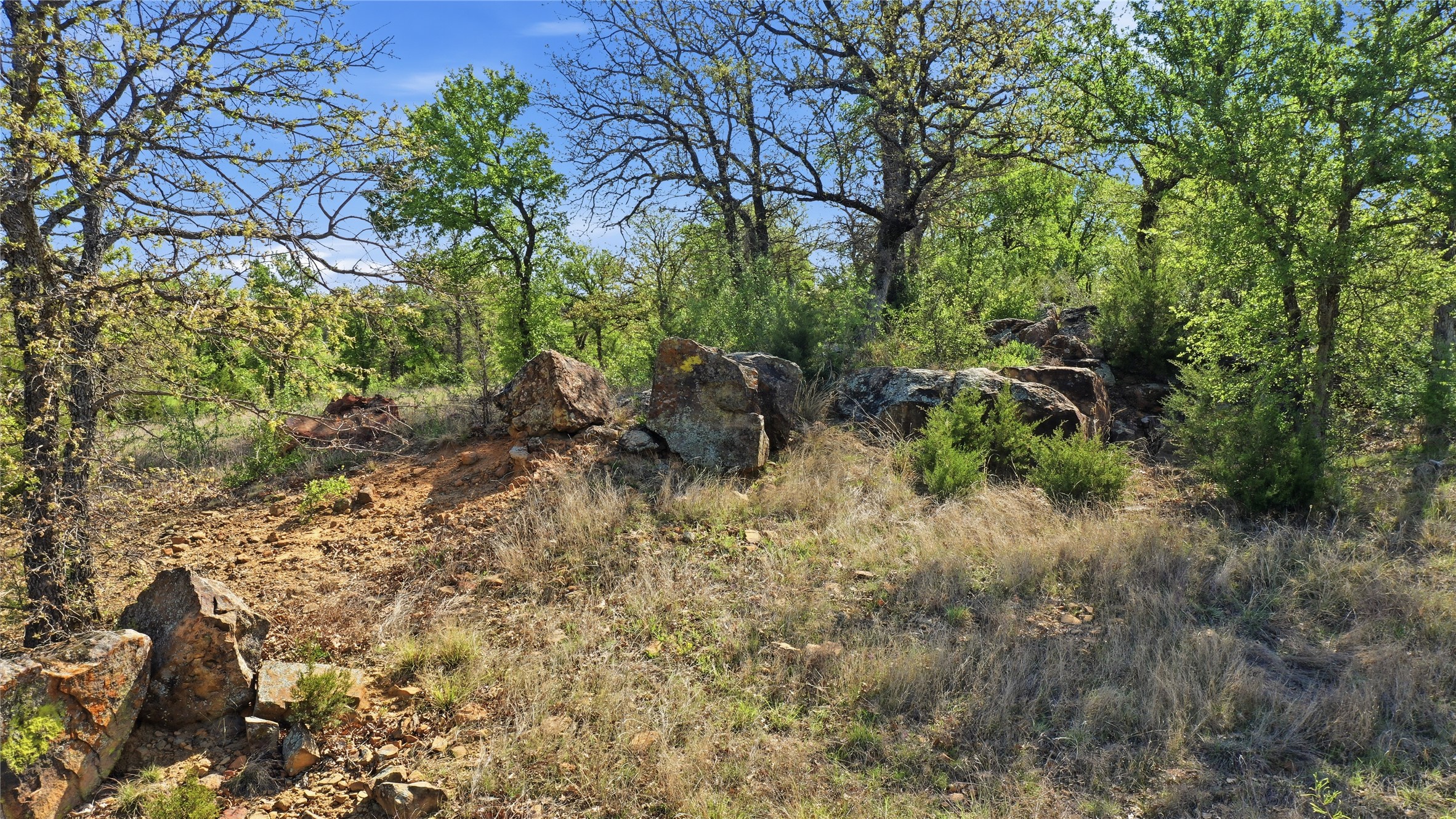 1005 Carter Lane Santo TX 76472