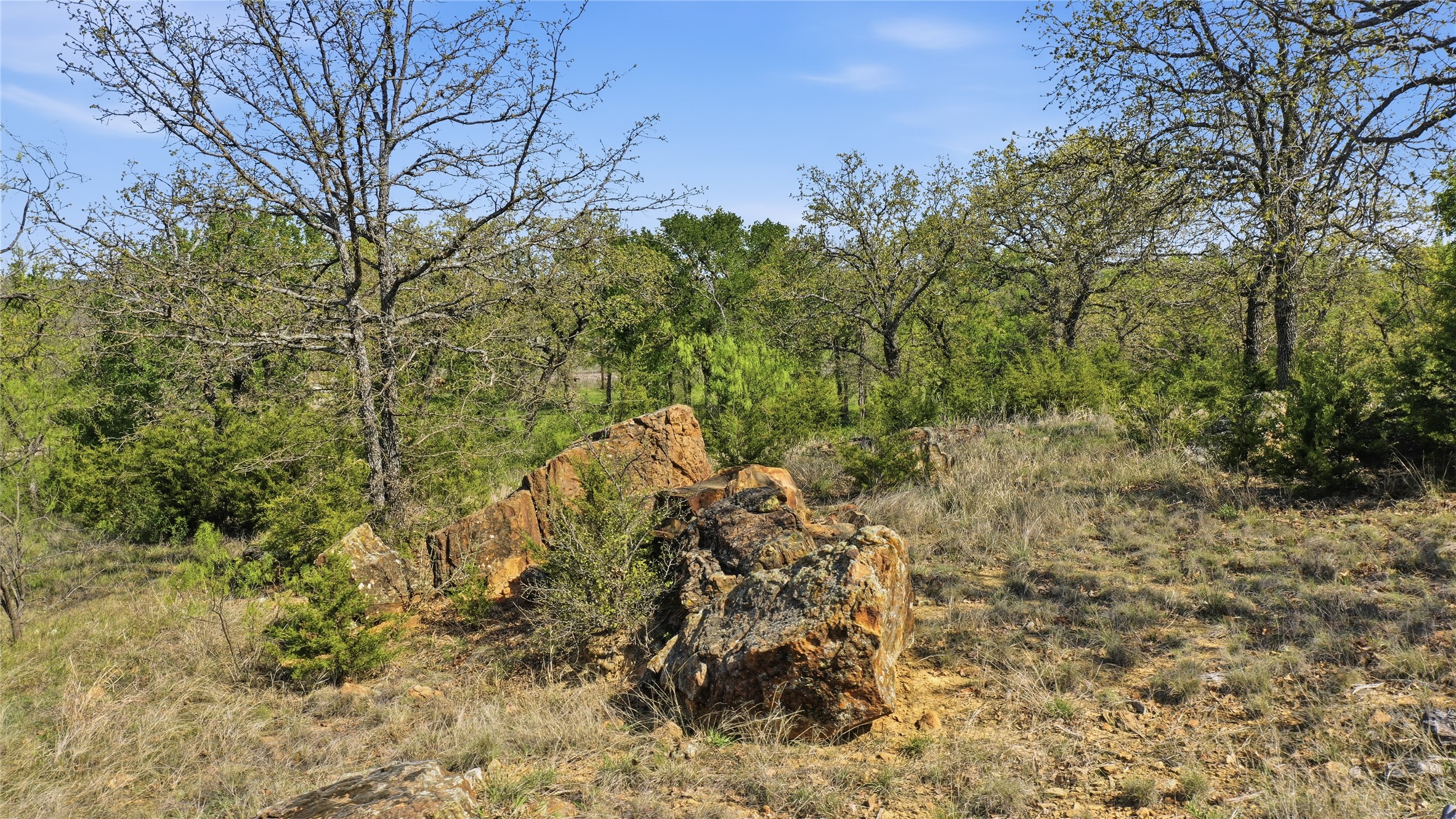 1005 Carter Lane Santo TX 76472