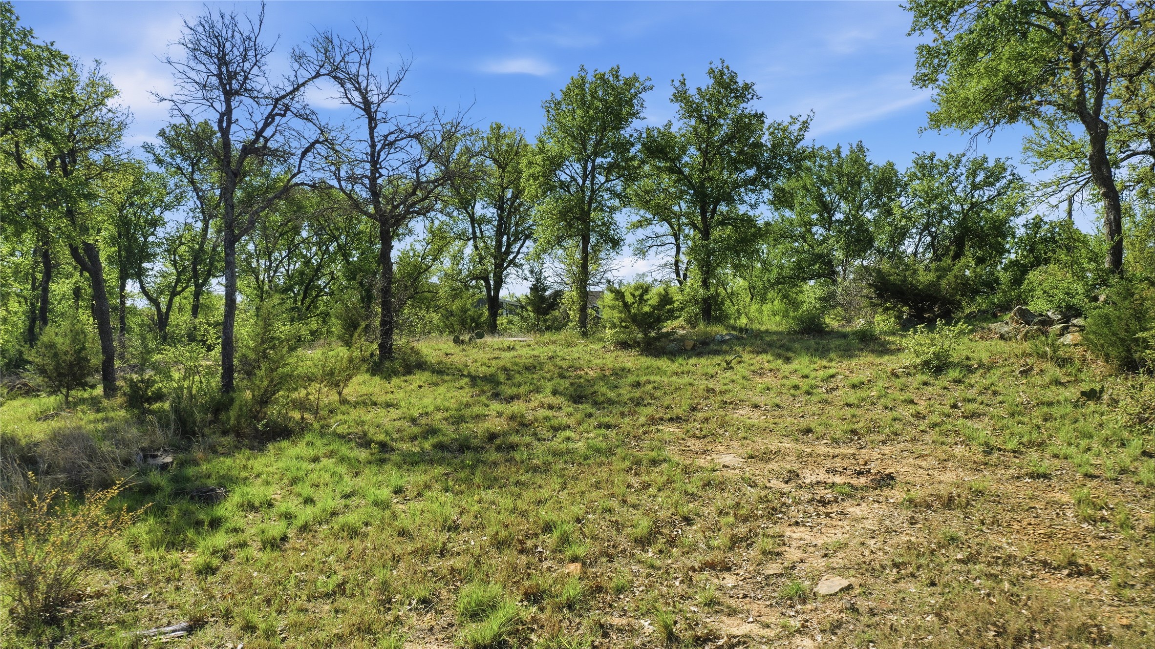 1005 Carter Lane Santo TX 76472