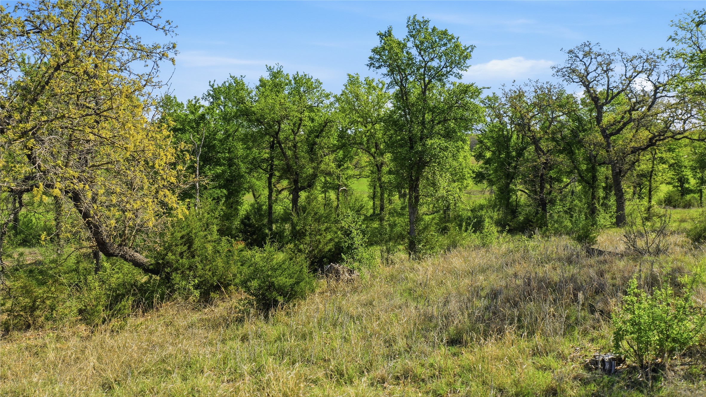 1005 Carter Lane Santo TX 76472