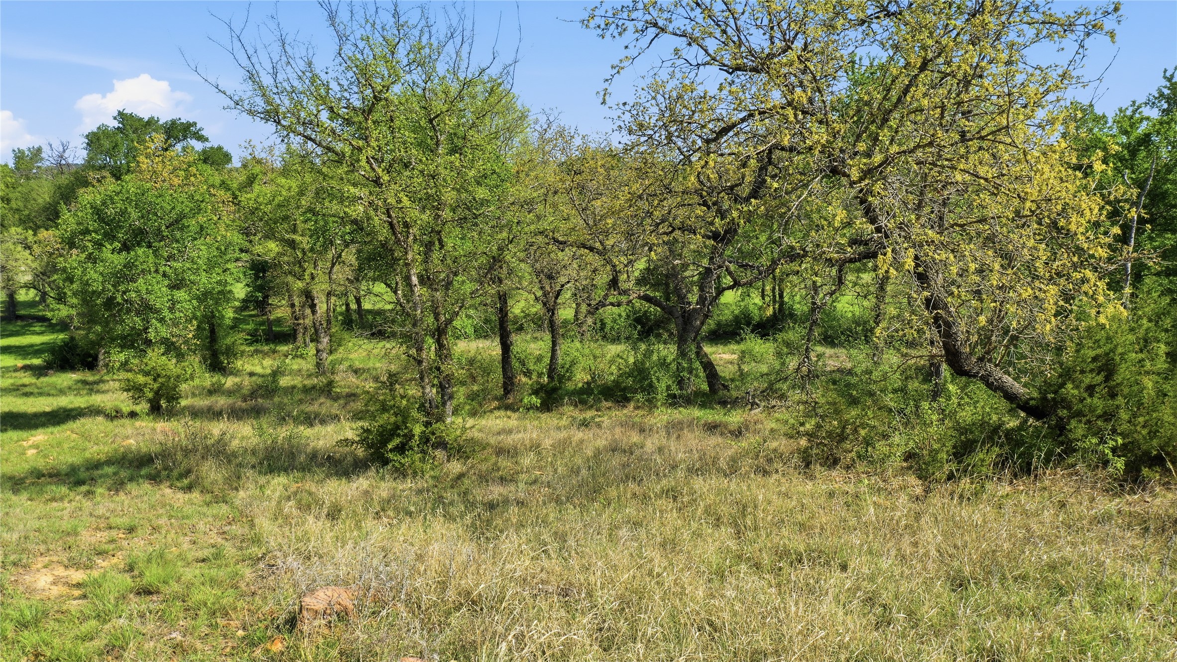 1005 Carter Lane Santo TX 76472