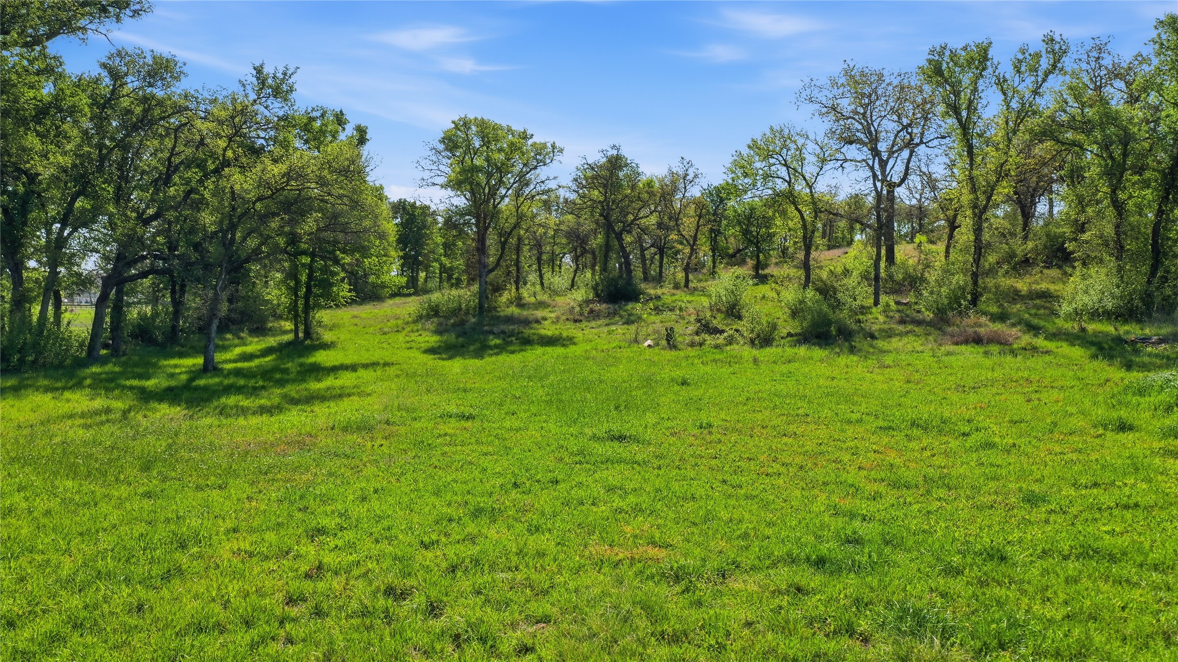 1005 Carter Lane Santo TX 76472