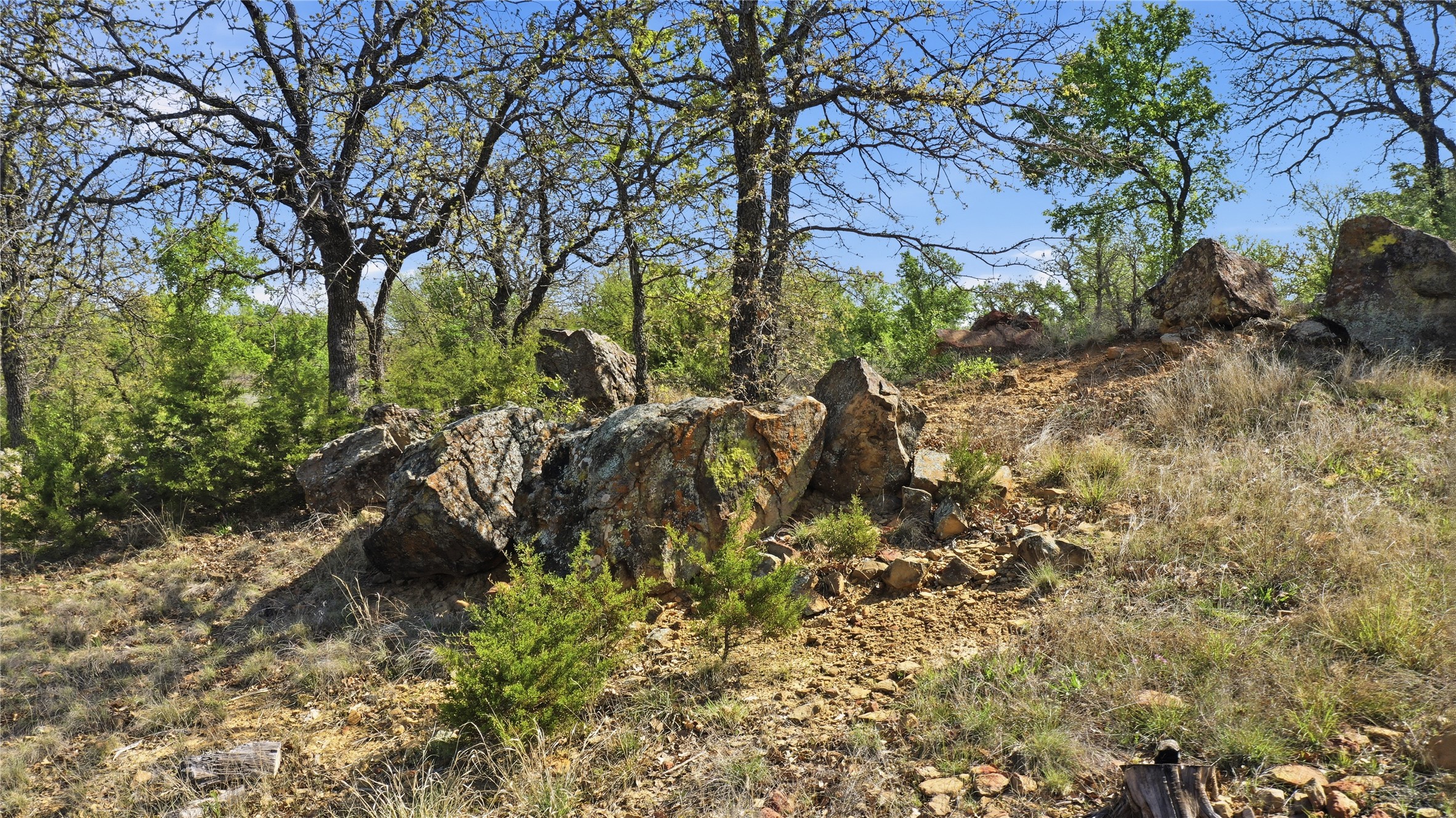 1005 Carter Lane Santo TX 76472