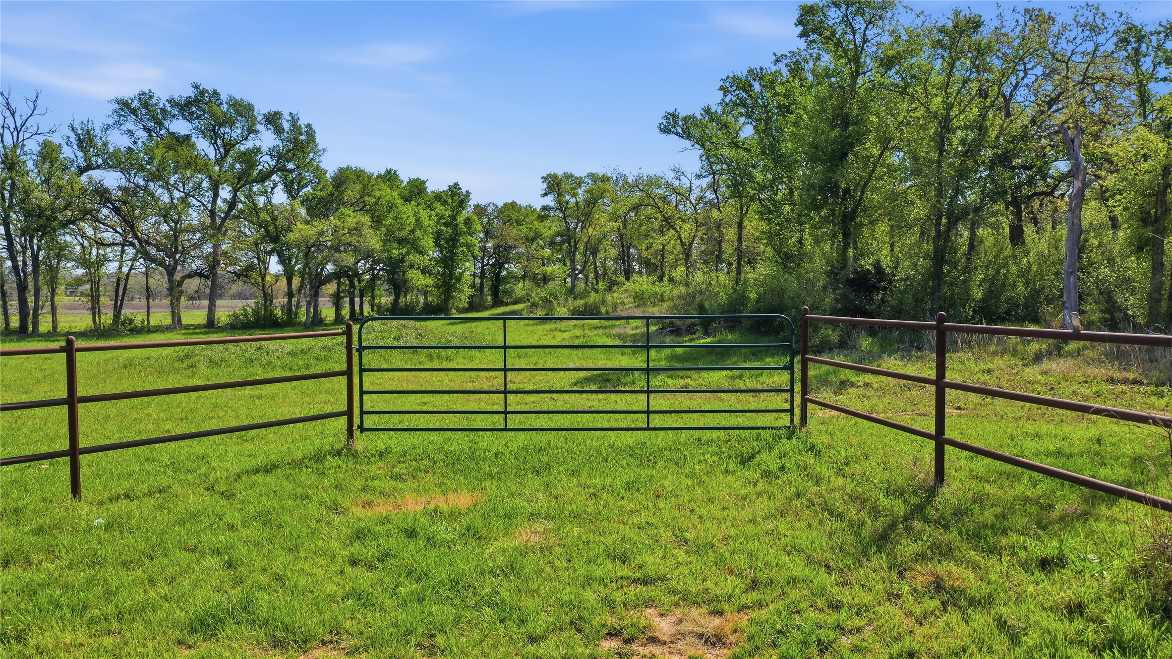 1005 Carter Lane Santo TX 76472