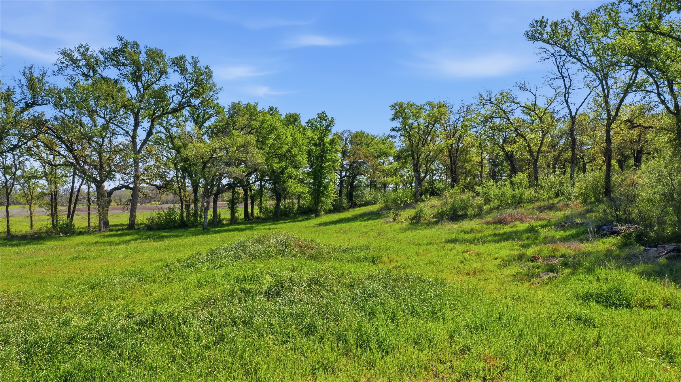 1005 Carter Lane Santo TX 76472