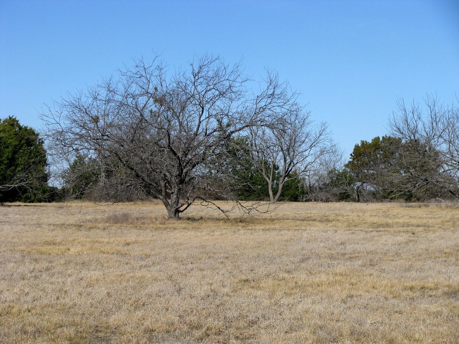 Tbd Lot 2 Old Pidcoke Road Gatesville TX 76528