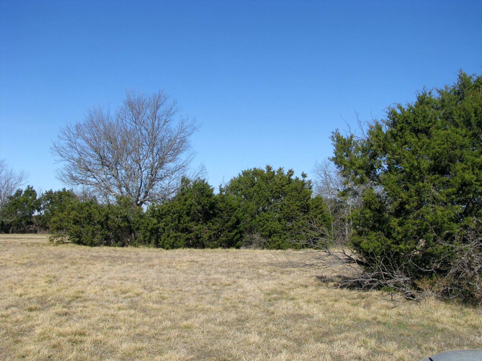 Tbd Lot 2 Old Pidcoke Road Gatesville TX 76528