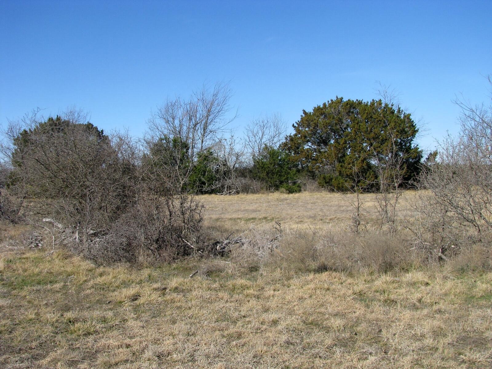 Tbd Lot 2 Old Pidcoke Road Gatesville TX 76528