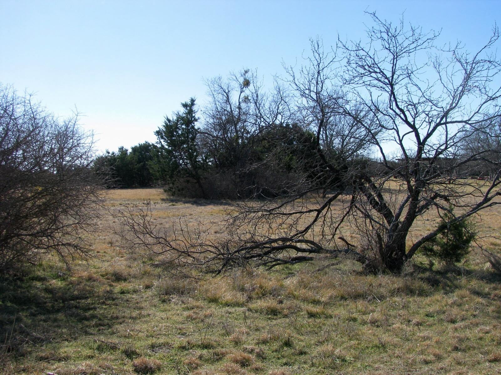 Tbd Lot 2 Old Pidcoke Road Gatesville TX 76528