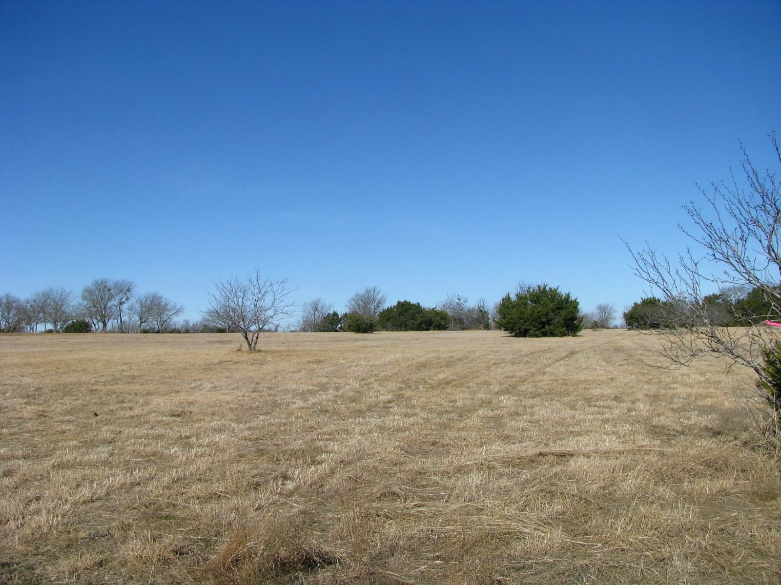 Tbd Lot 2 Old Pidcoke Road Gatesville TX 76528