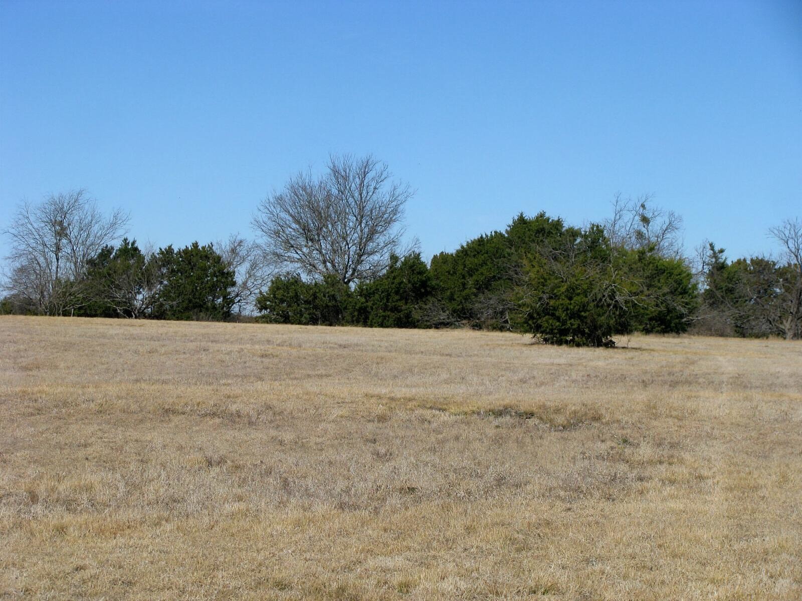 Tbd Lot 2 Old Pidcoke Road Gatesville TX 76528