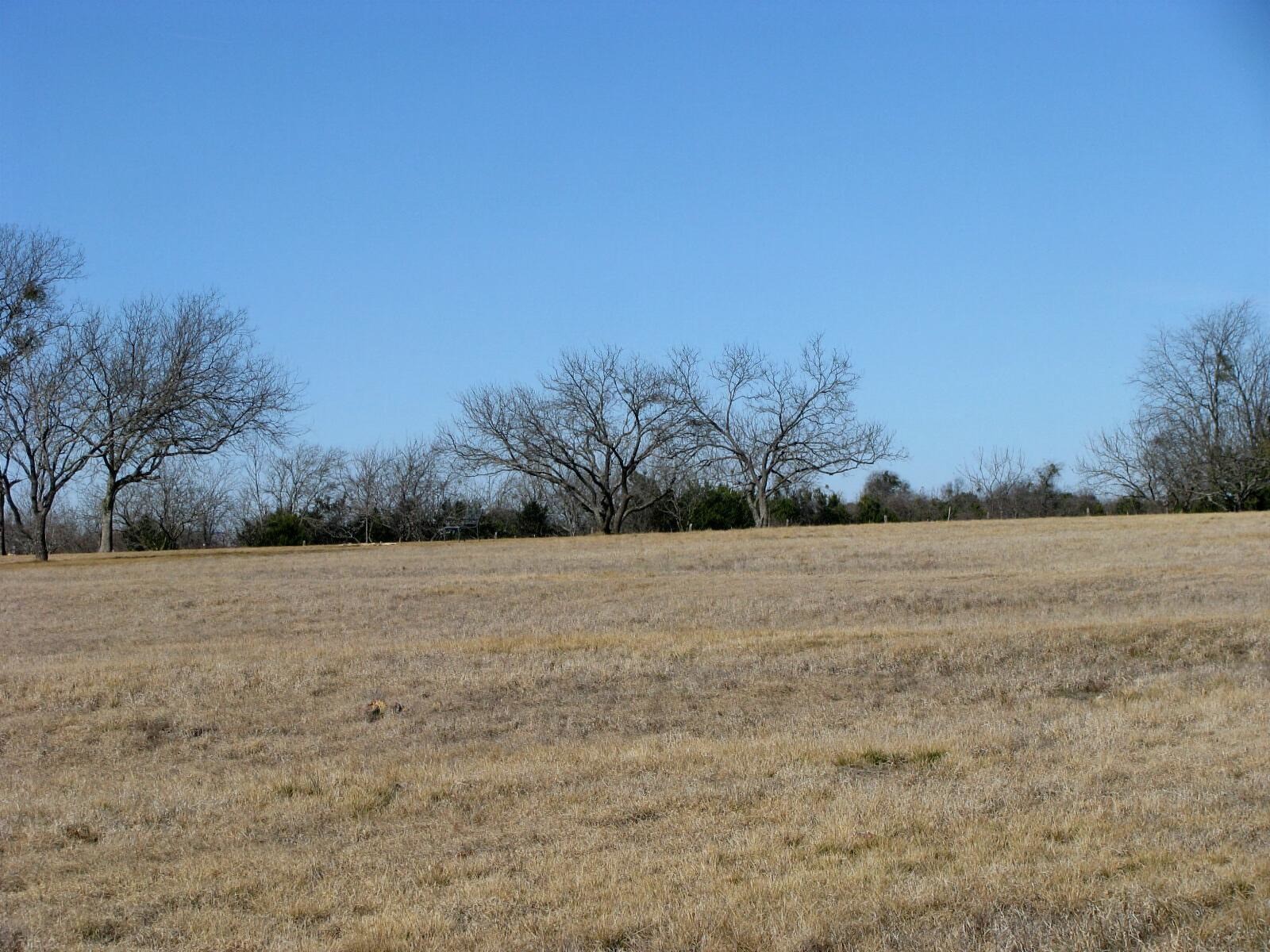 Tbd Lot 2 Old Pidcoke Road Gatesville TX 76528