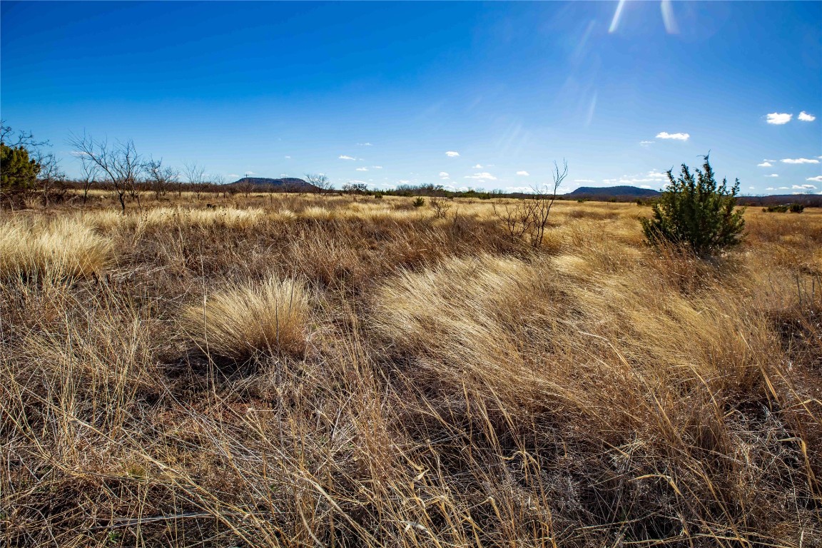 Tbd Cr 250 Tuscola TX 79562