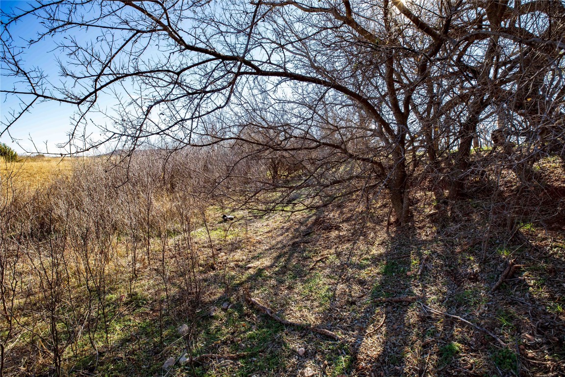 Tbd Cr 250 Tuscola TX 79562