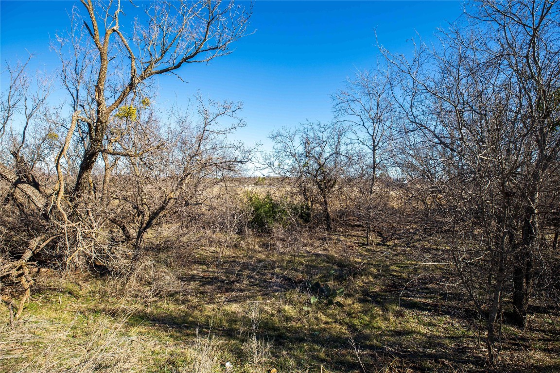 Tbd Cr 250 Tuscola TX 79562