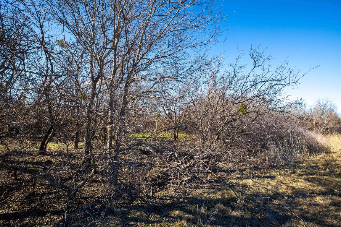 Tbd Cr 250 Tuscola TX 79562