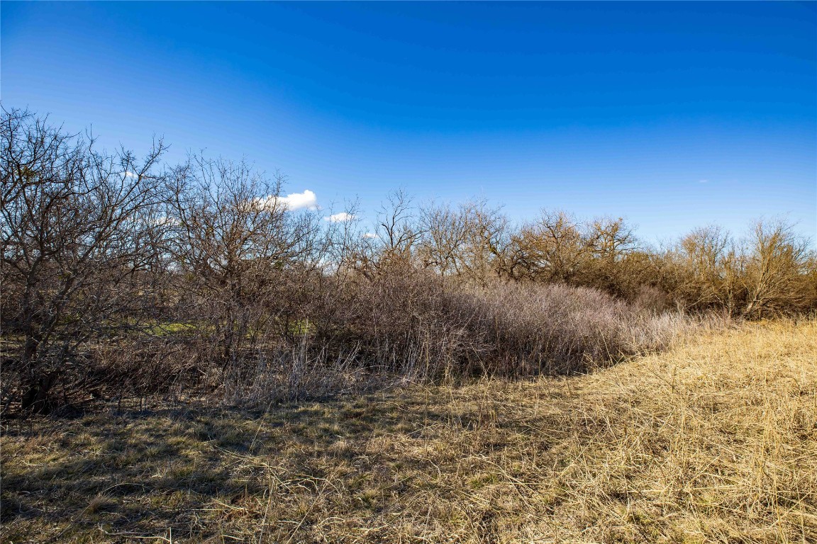 Tbd Cr 250 Tuscola TX 79562
