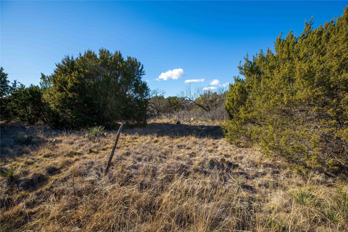 Tbd Cr 250 Tuscola TX 79562