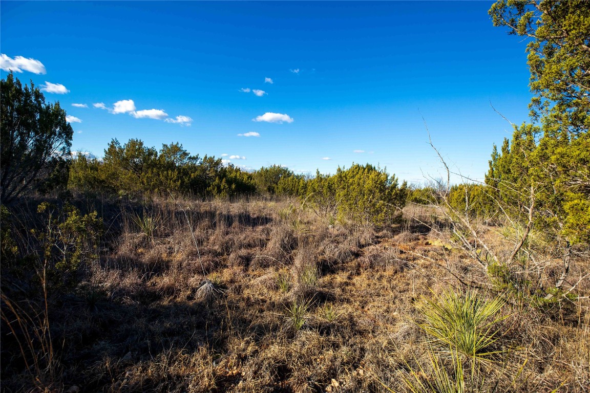 Tbd Cr 250 Tuscola TX 79562