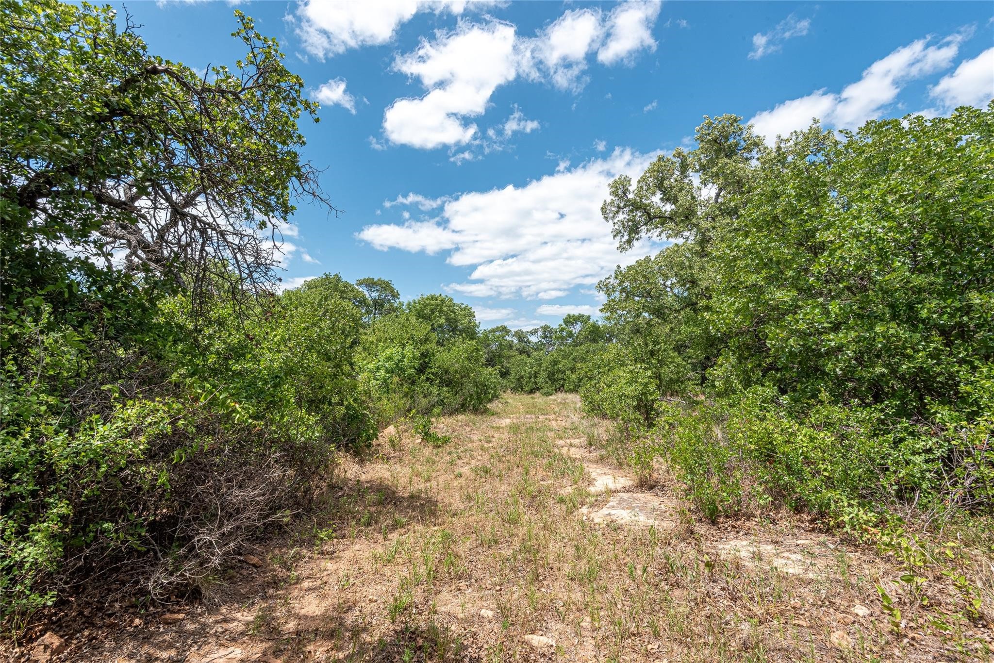 0006/0007 Clayton Mountain Road Gordon TX 76453