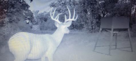 0006/0007 Clayton Mountain Road Gordon TX 76453