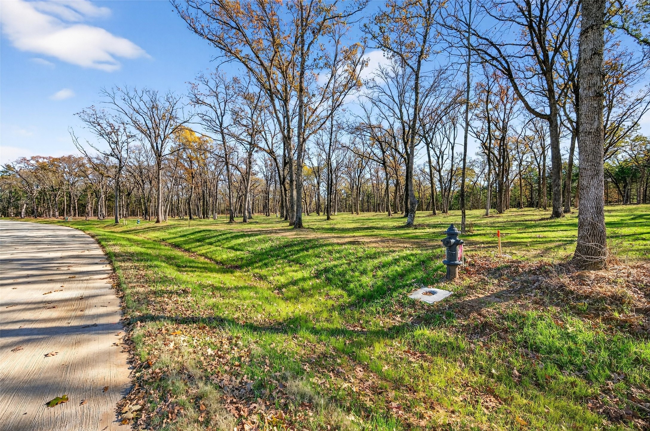 Lot 12 Buck Trail Pottsboro TX 75076
