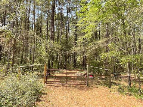 Lot 2B & 2C Fuller Springs Drive Lufkin TX 75901