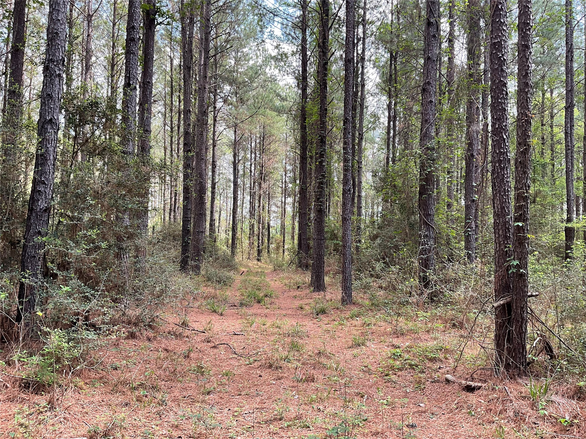 Lot 2b & 2c Fuller Springs Drive Lufkin TX 75901