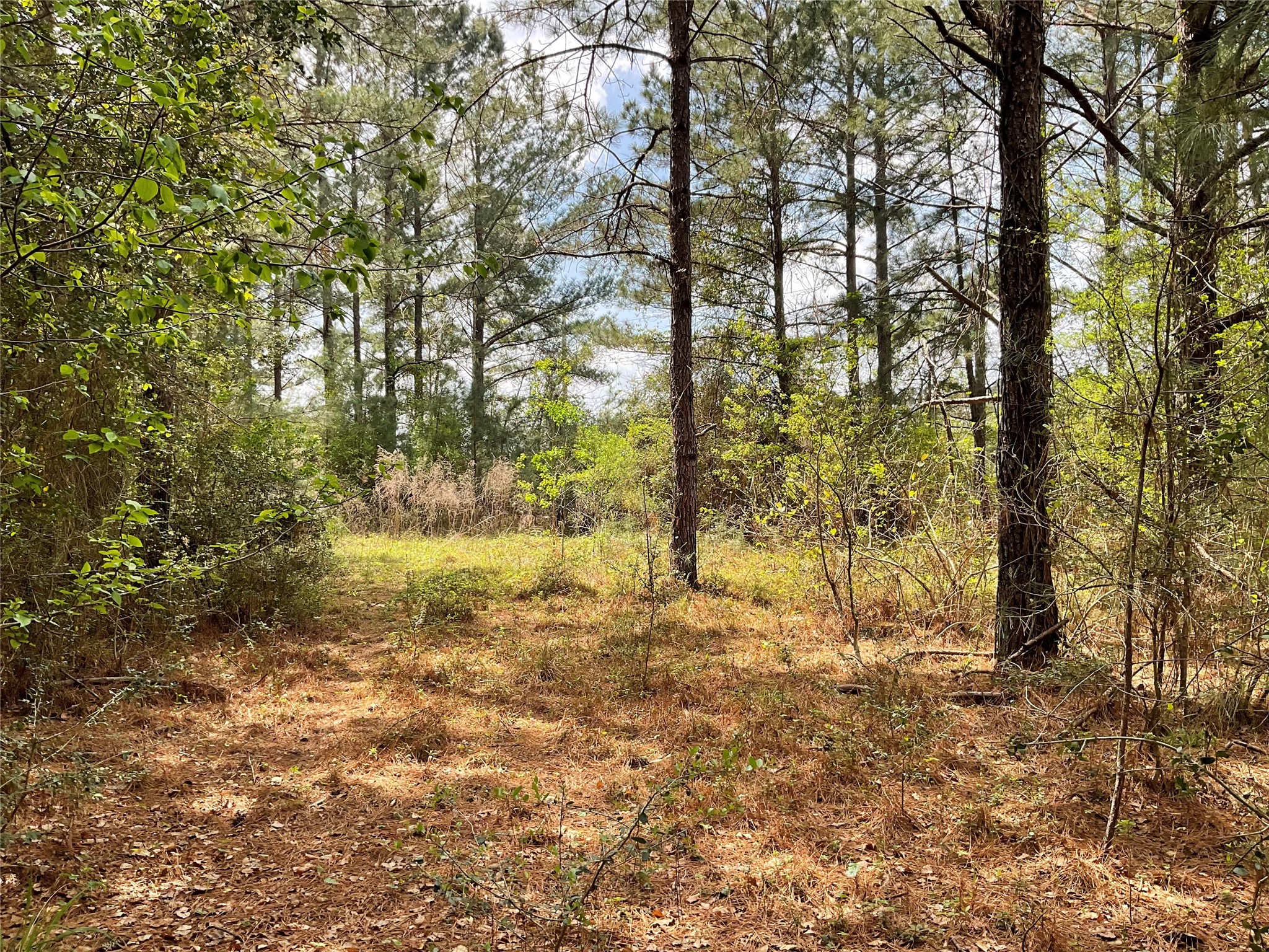 Lot 2b & 2c Fuller Springs Drive Lufkin TX 75901