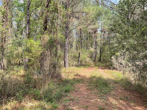 Lot 2b & 2c Fuller Springs Drive Lufkin TX 75901