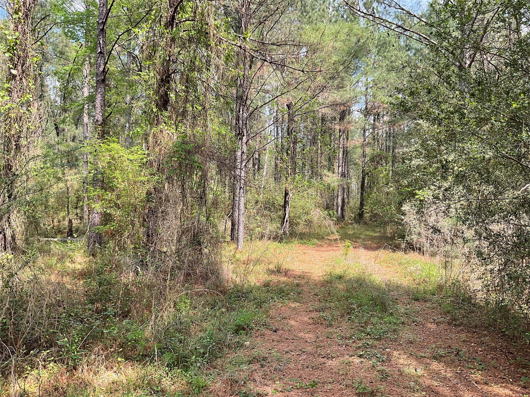 Lot 2b & 2c Fuller Springs Drive Lufkin TX 75901