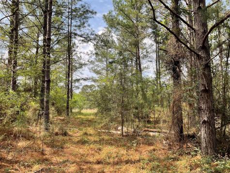 Lot 2b & 2c Fuller Springs Drive Lufkin TX 75901