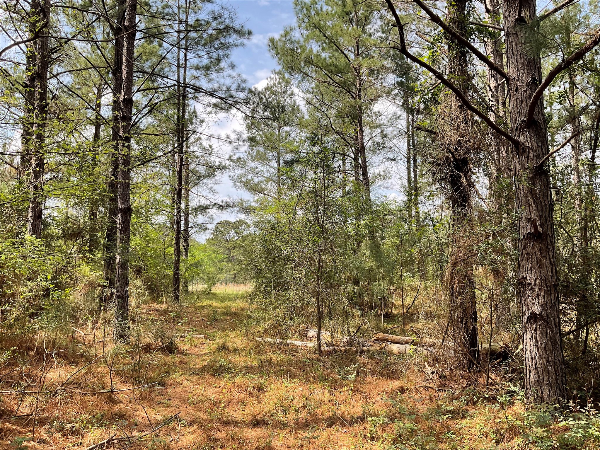 Lot 2b & 2c Fuller Springs Drive Lufkin TX 75901