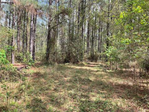 Lot 2b & 2c Fuller Springs Drive Lufkin TX 75901