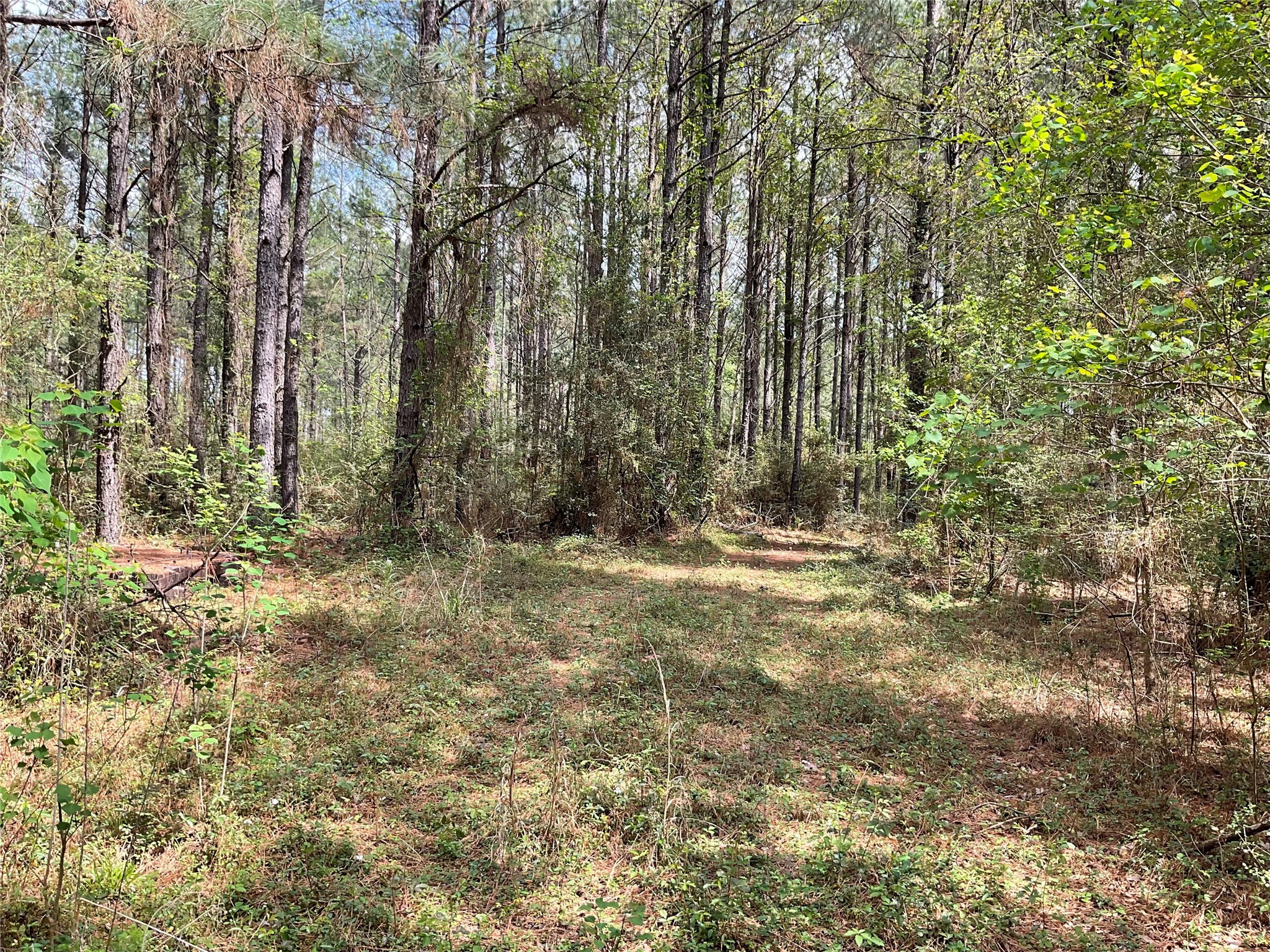 Lot 2b & 2c Fuller Springs Drive Lufkin TX 75901