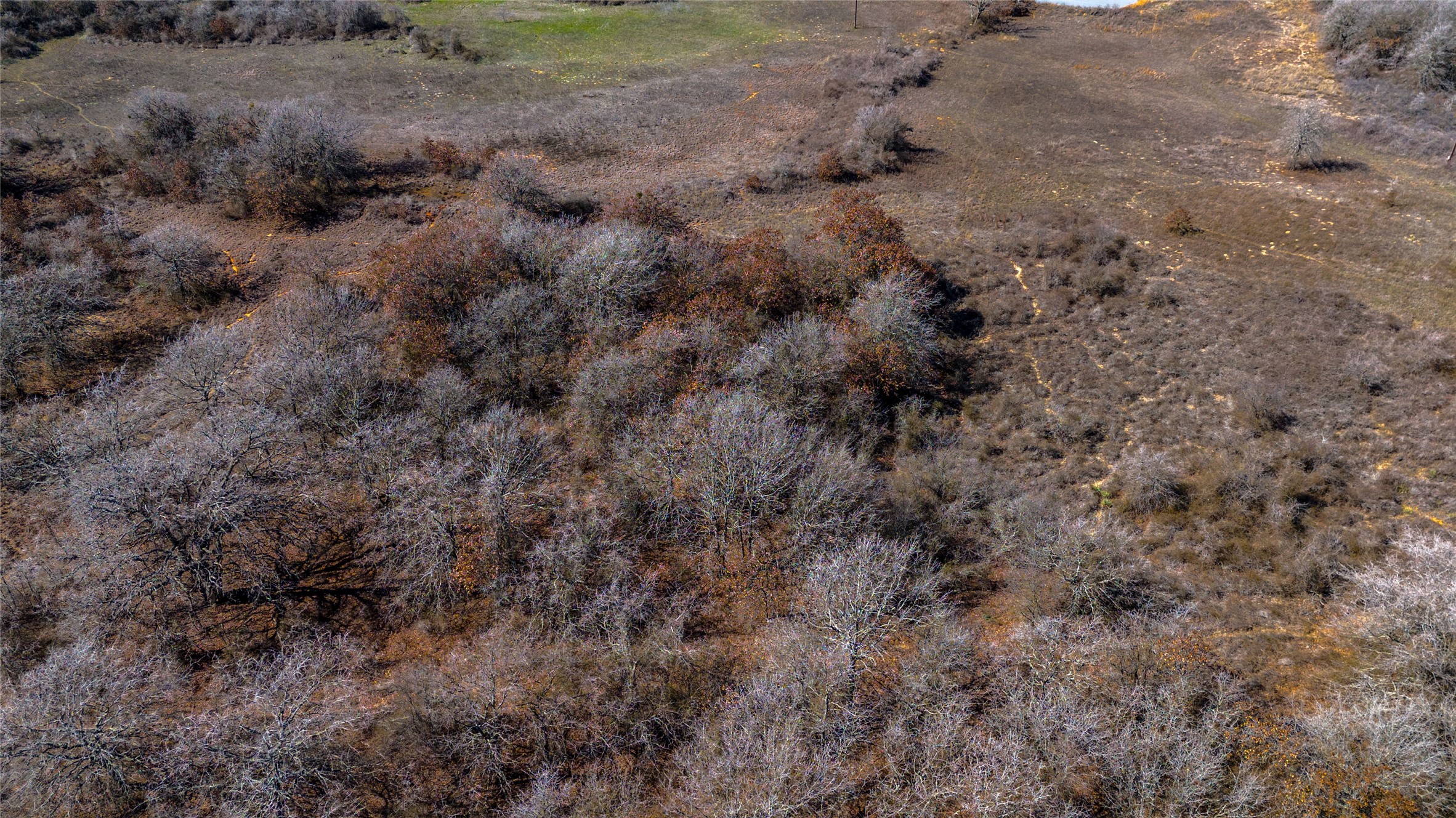 Tbd Salt Creek Road Springtown TX 76082