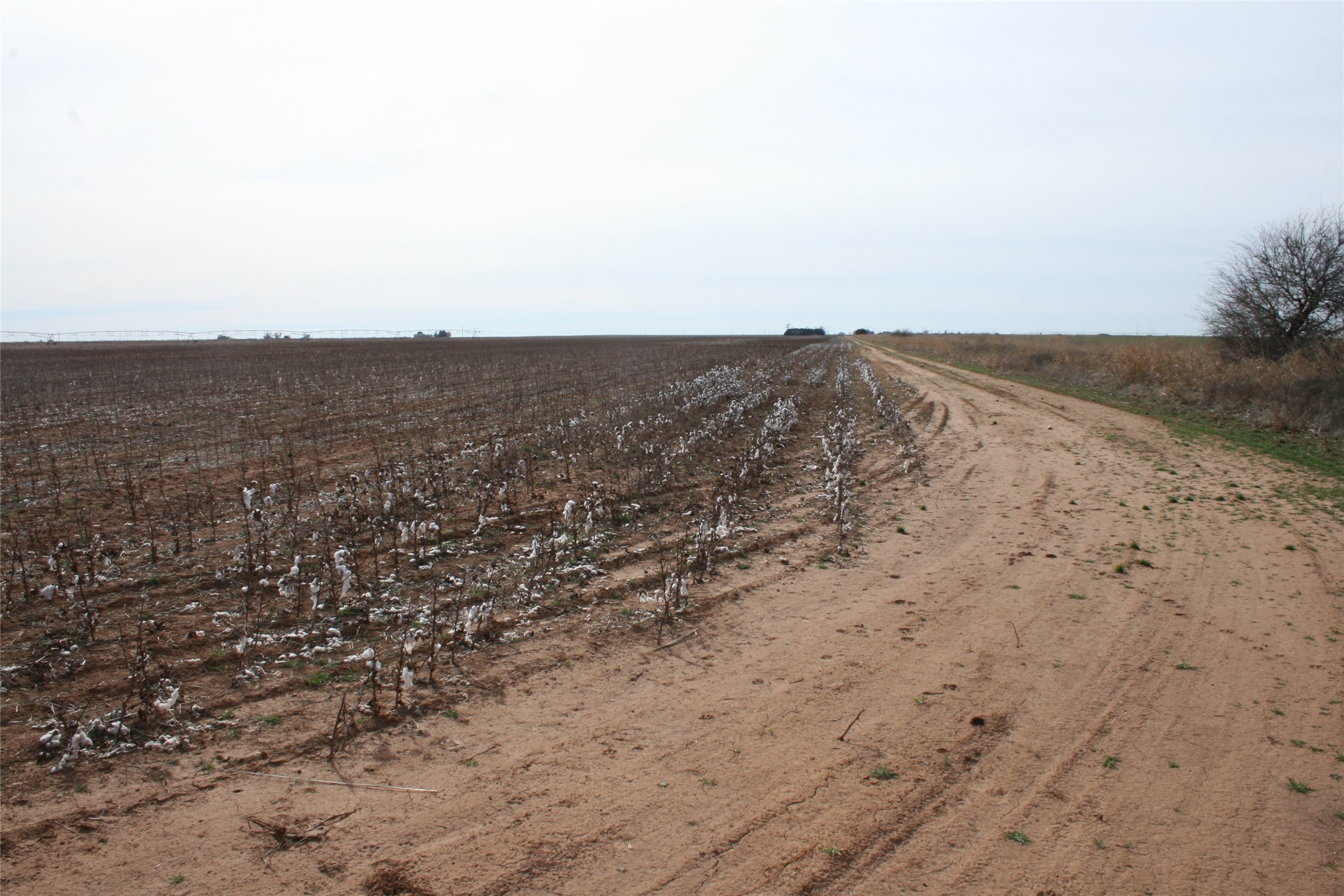 00FM 266 Fm266 Corner Goree TX 76363