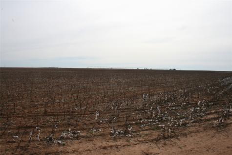 00FM 266 Fm266 Corner Goree TX 76363